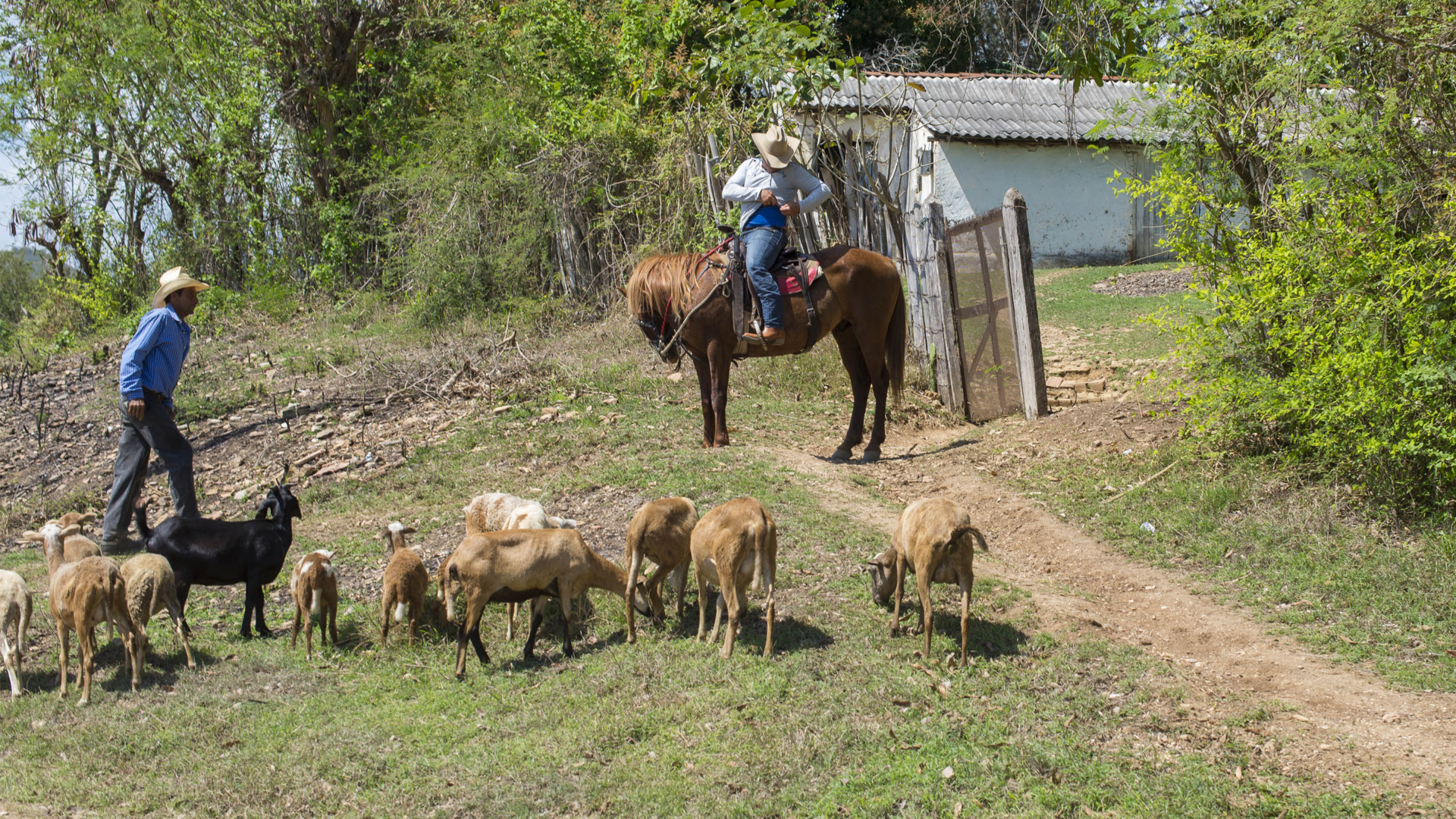 20170302-Cuba-053